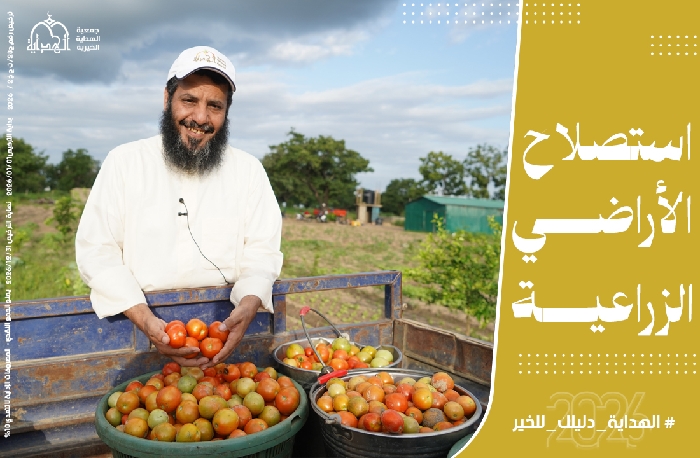 صورة مشروع استصلاح الأراضي