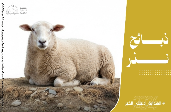 صورة ذبائح نذر