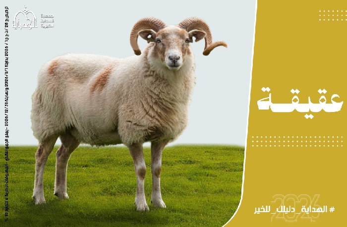 صورة عقيقة